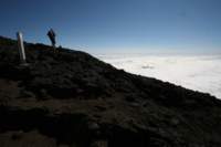 img_8442_small.jpg