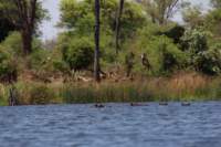img_3831_small.jpg