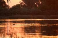 img_3873_small.jpg