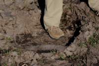 img_3931_small.jpg