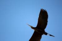 img_4020_small.jpg