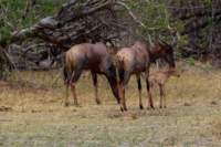 img_4213_small.jpg
