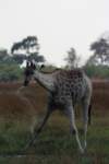 img_4362_small.jpg