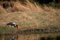 img_4393_small.jpg