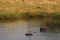 img_4407_small.jpg