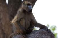 img_4435_small.jpg