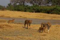 img_4564_small.jpg