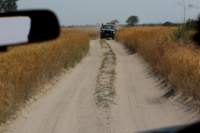 img_4590_small.jpg