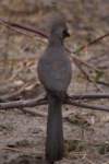 img_4618_small.jpg