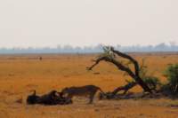 img_4787_small.jpg