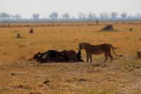 img_4801_small.jpg