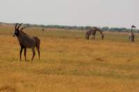 img_4839_small.jpg