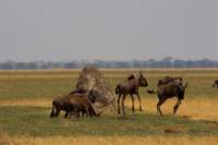 img_4882_small.jpg