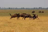 img_4892_small.jpg