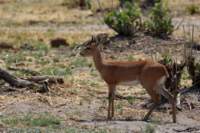 img_4901_small.jpg