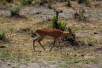 img_4918_small.jpg