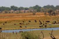 img_5178_small.jpg