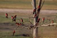 img_5198_small.jpg