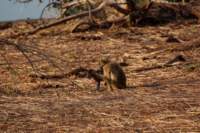 img_5254_small.jpg