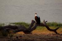 img_5271_small.jpg