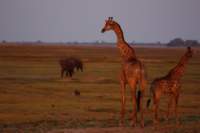 img_5324_small.jpg