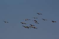 img_5391_small.jpg