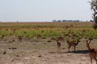 img_5446_small.jpg