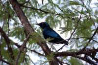 img_5553_small.jpg