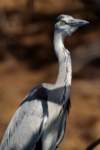 img_5697_small.jpg