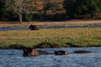 img_5851_small.jpg