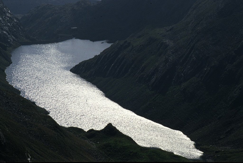 o04.jpg