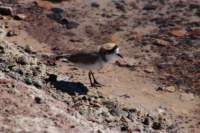 img_0288_small.jpg