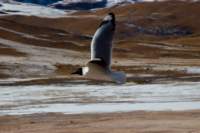 img_0498_small.jpg