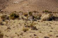 img_1022_small.jpg