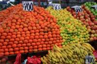 img_1592_small.jpg