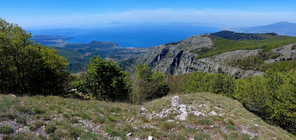 aprfaito_molare32.jpg