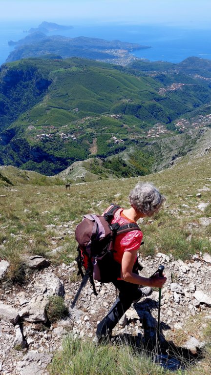aprfaito_molare34.jpg