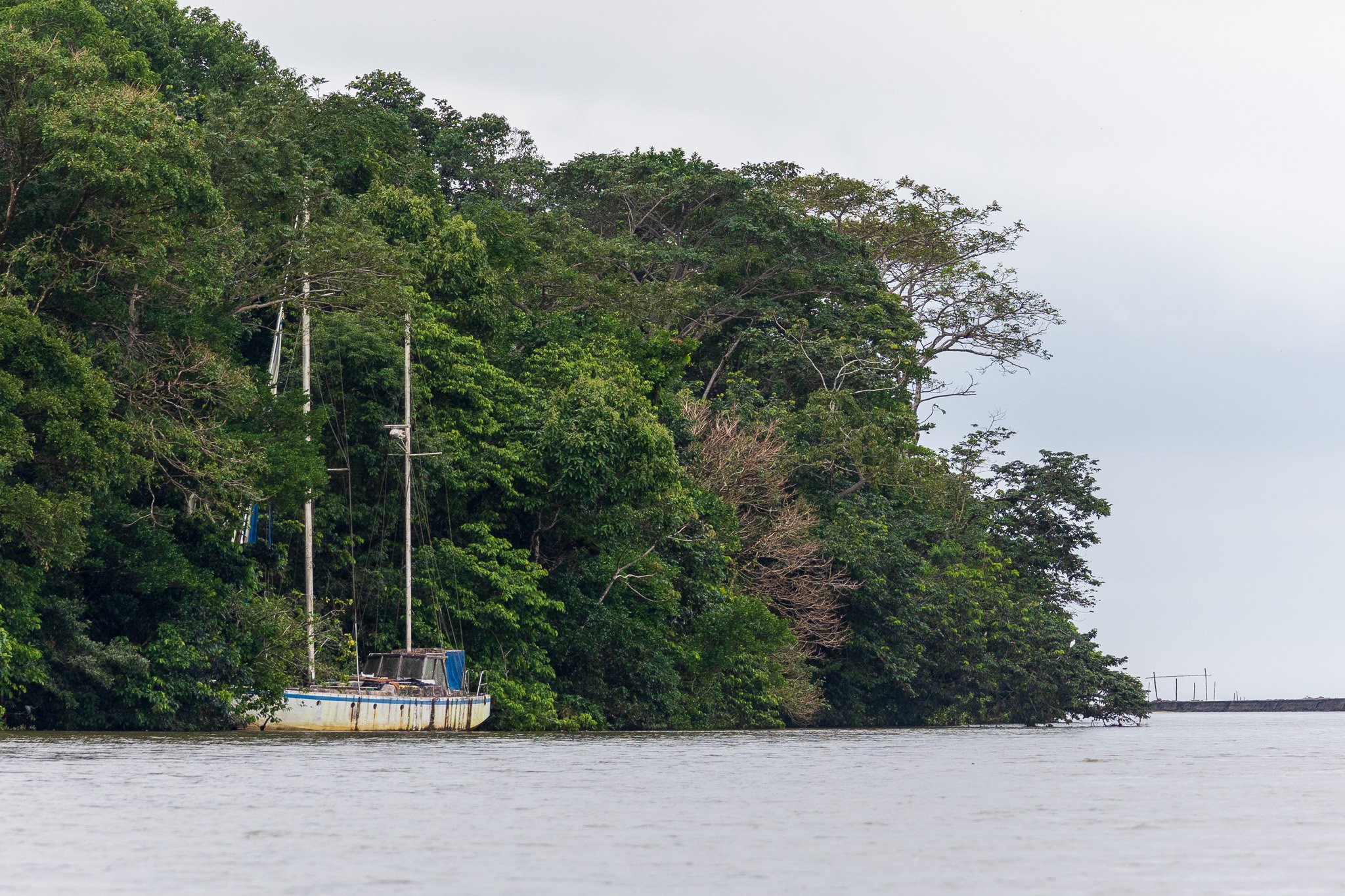 dic24tortuguero24.jpg