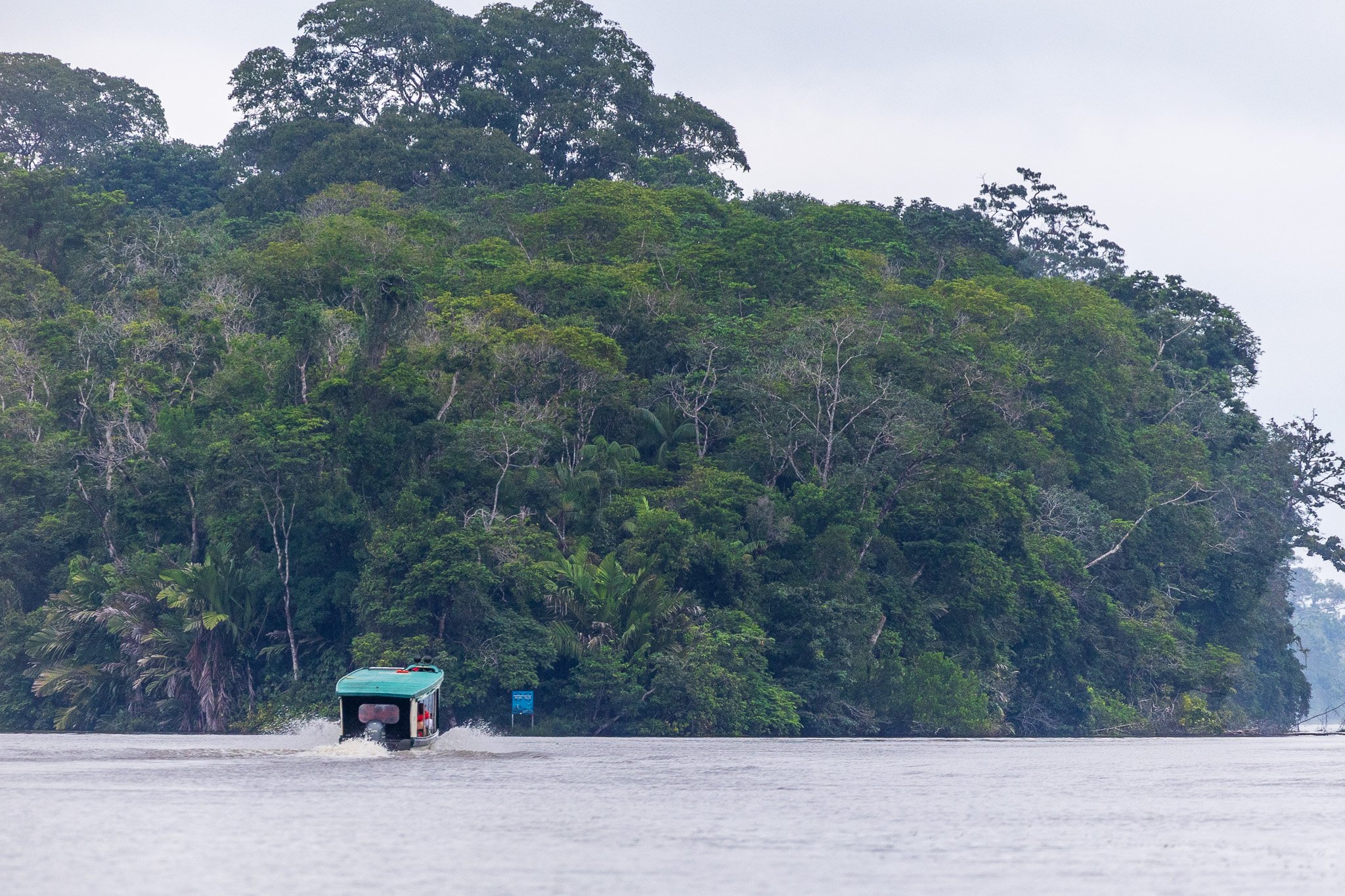 dic24tortuguero31.jpg