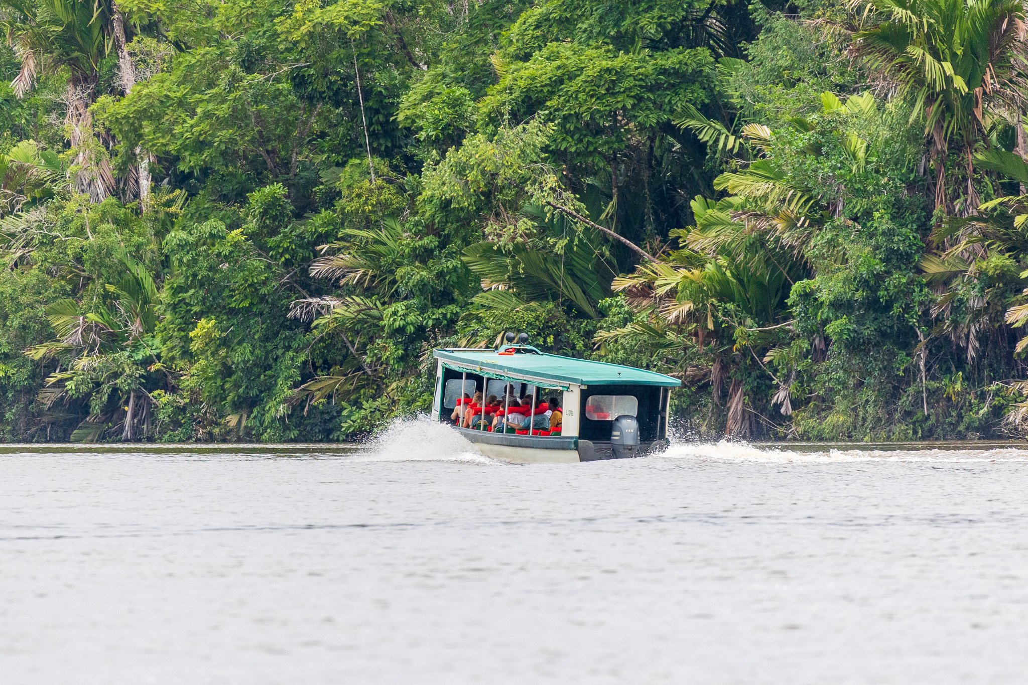 dic24tortuguero34.jpg