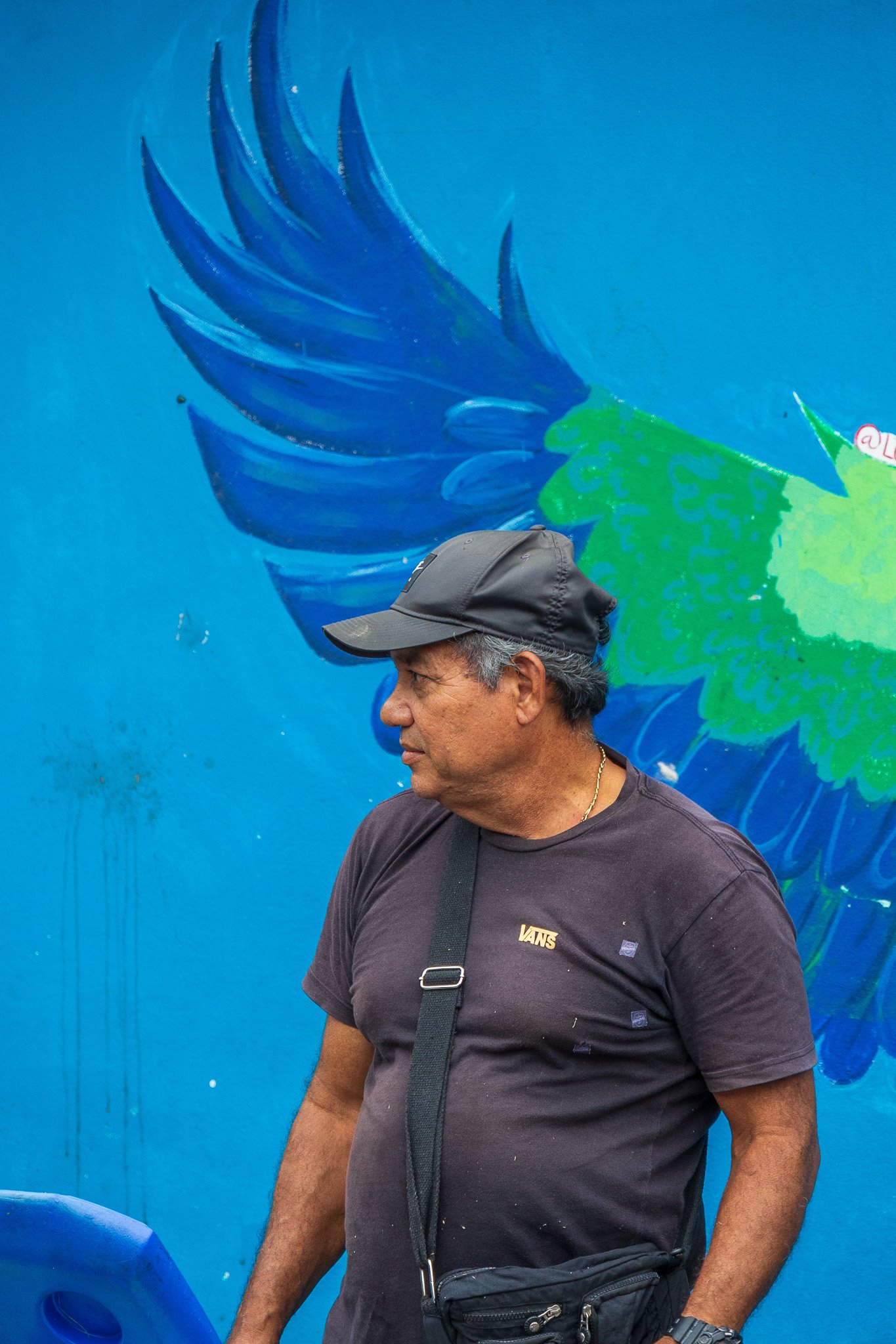 dic24tortuguero47.jpg