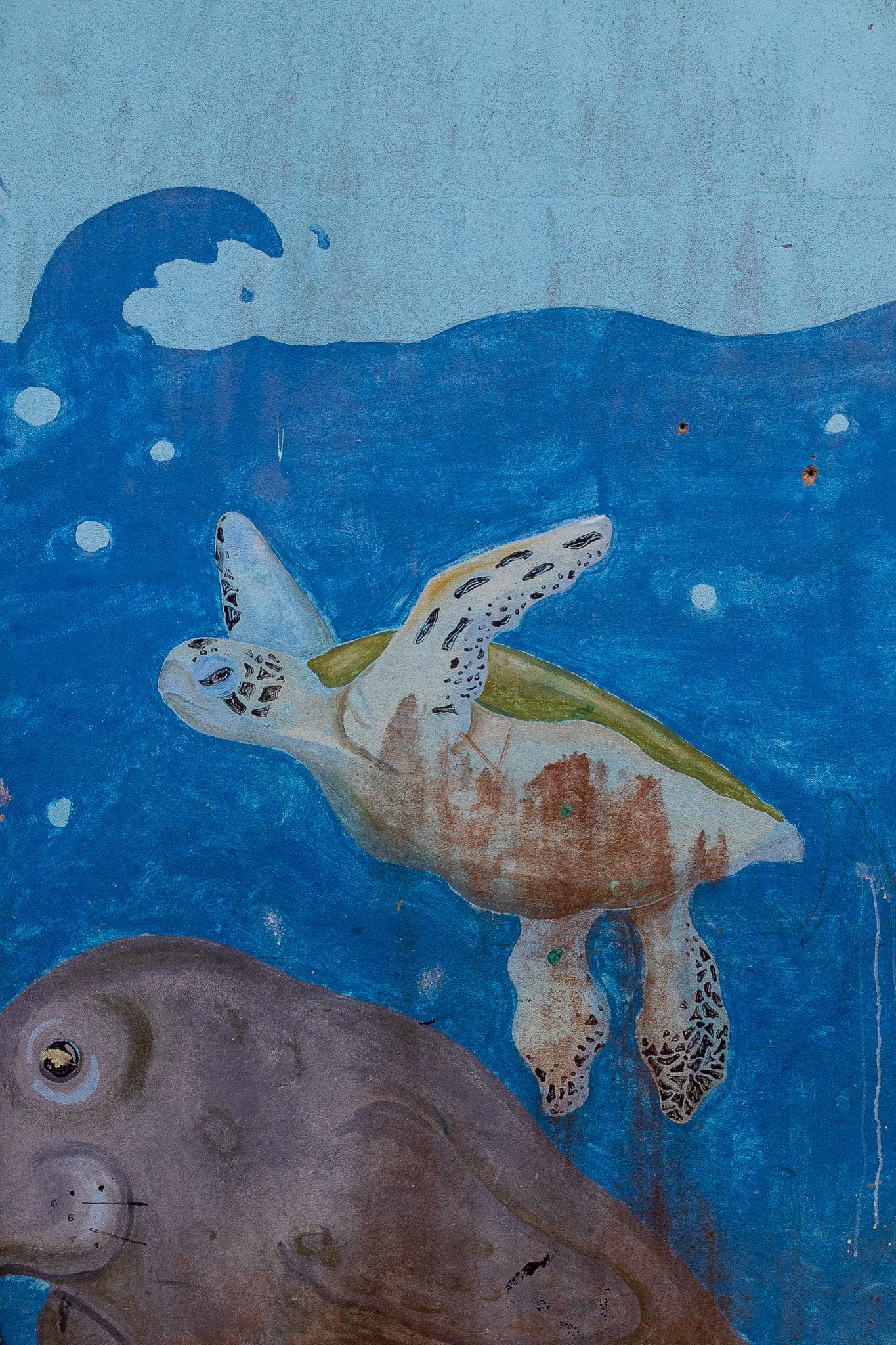 dic24tortuguero48.jpg