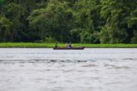 dic24tortuguero46_small.jpg