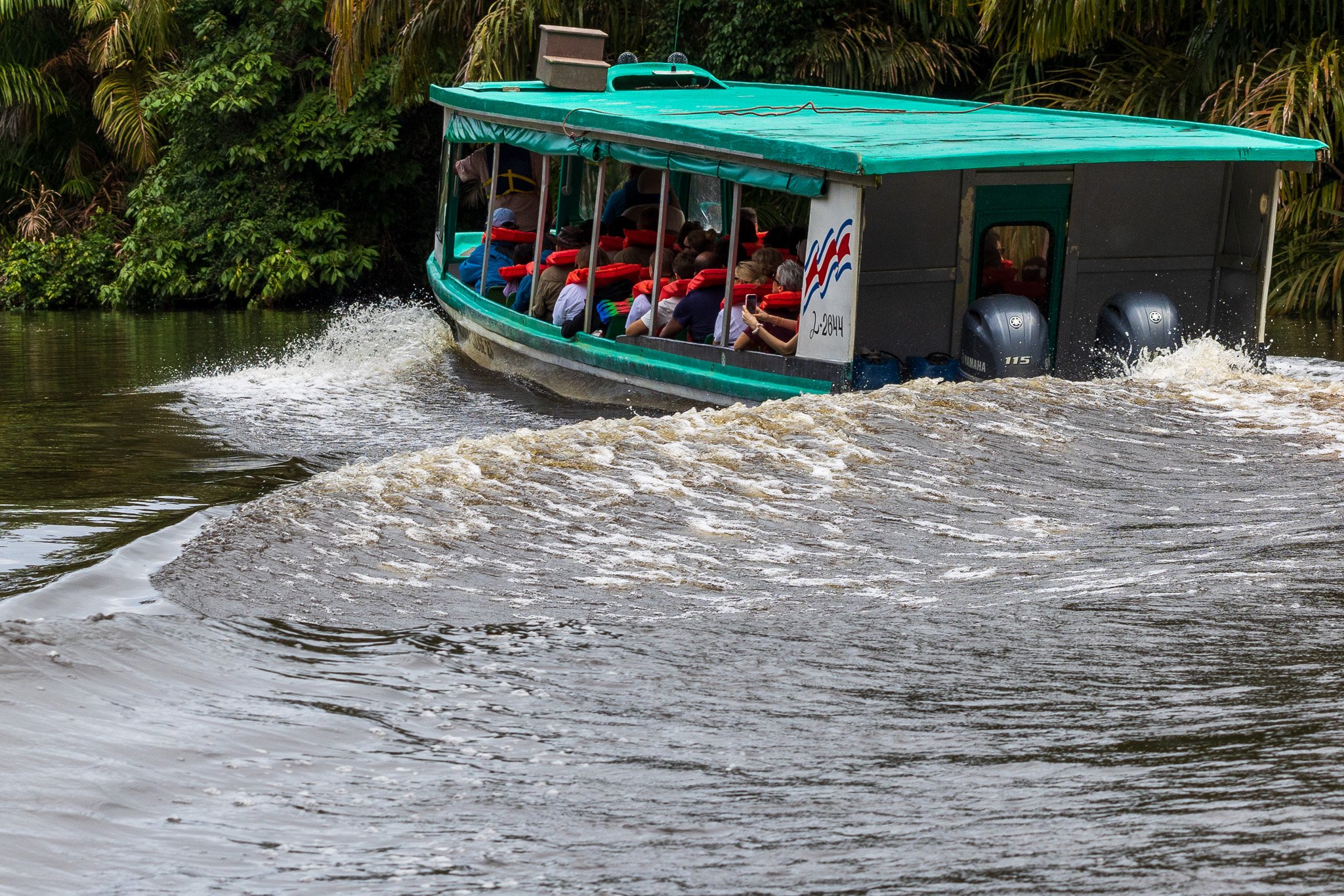 dic24tortuguero52.jpg