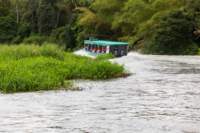 dic24tortuguero60_small.jpg