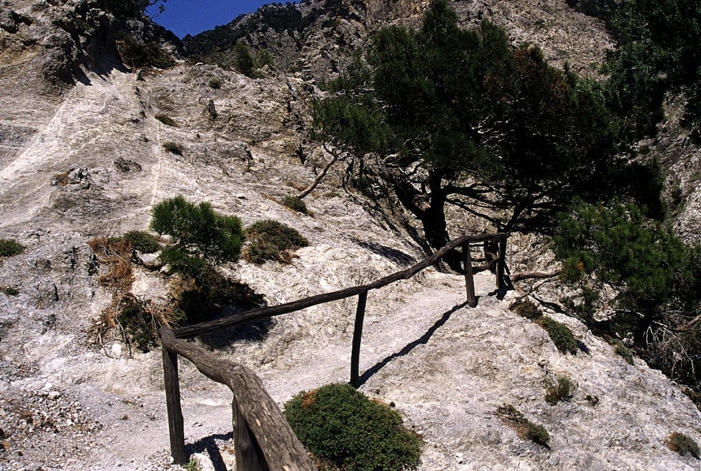 _10a107.jpg