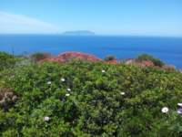 _levanzo_115_small.jpg