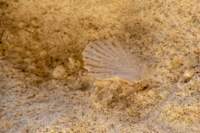 gte087_small.jpg