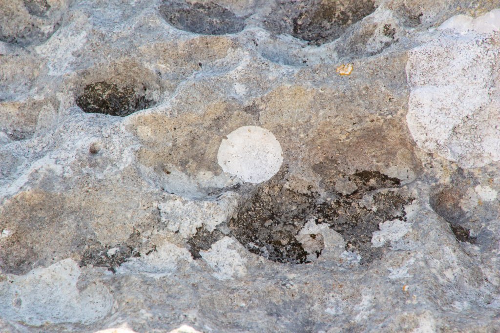 gte088.jpg
