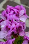 eoliegam_20230430_020_small.jpg